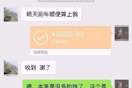 开平为什么选择专业追讨公司来处理您的债务纠纷？